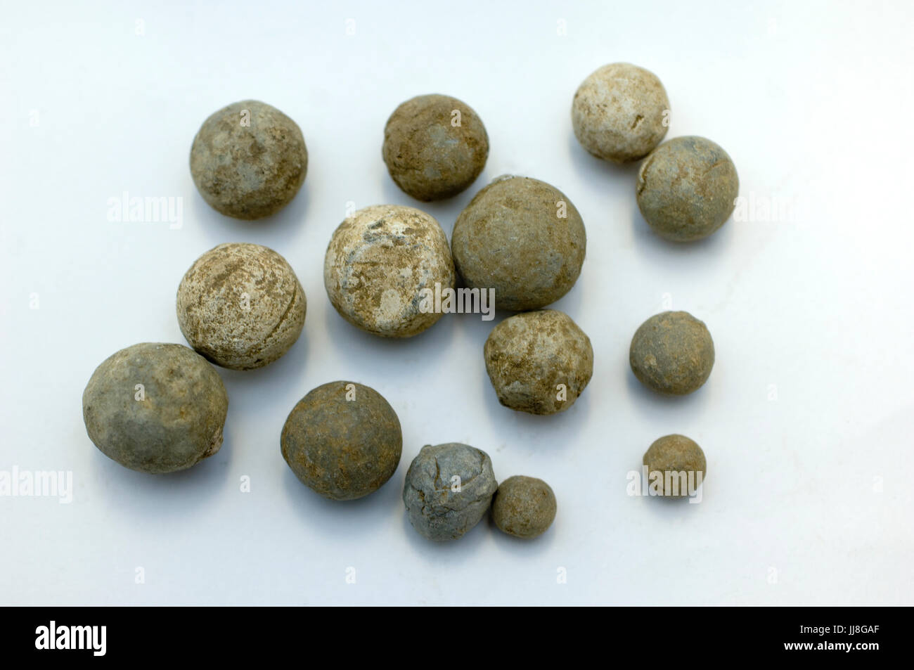 Grapeshot hires stock photography and images Alamy