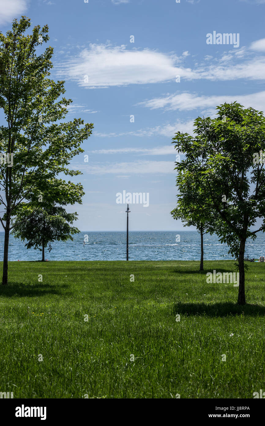 Park trees green hi-res stock photography and images - Alamy
