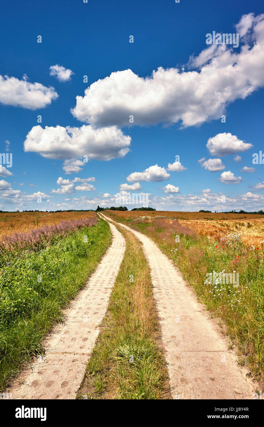 Countryside road on a beautiful summer day. Stock Photo