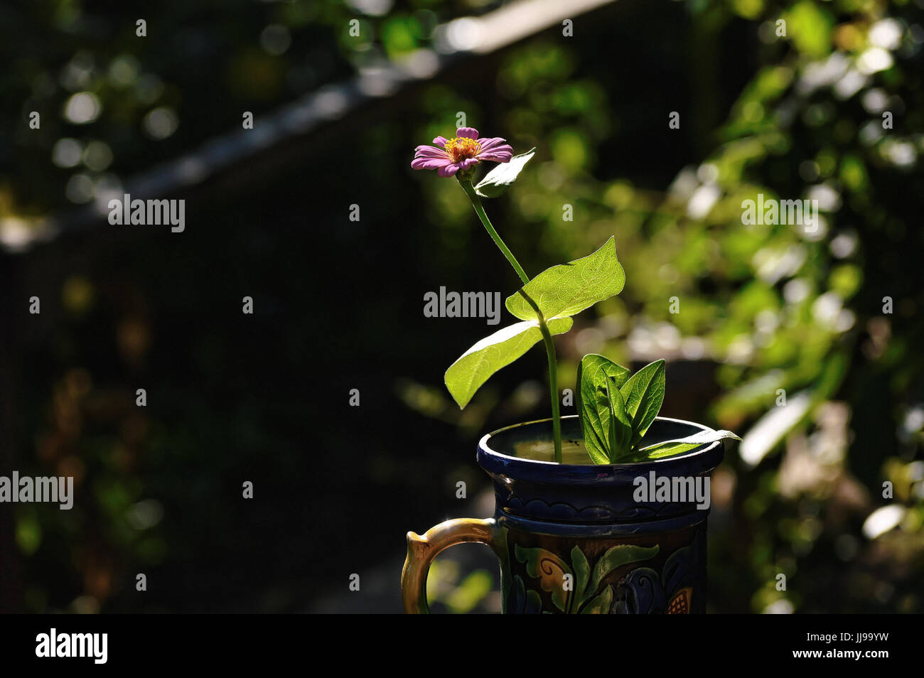Little pink flower in a traditional vase against dark blurred background Stock Photo