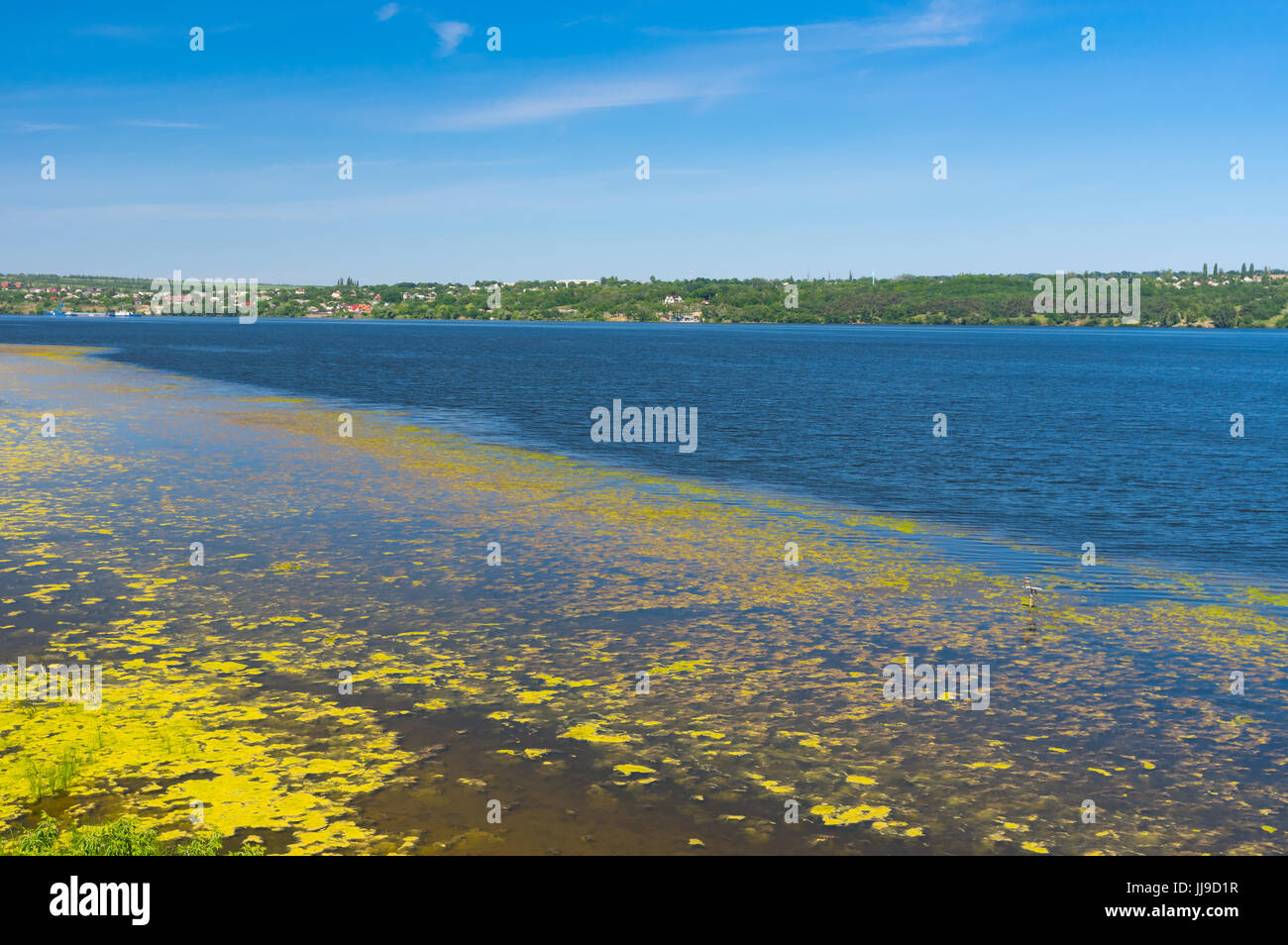 Early summer landscape with slimy Dnipro riverside, Ukraine Stock Photo