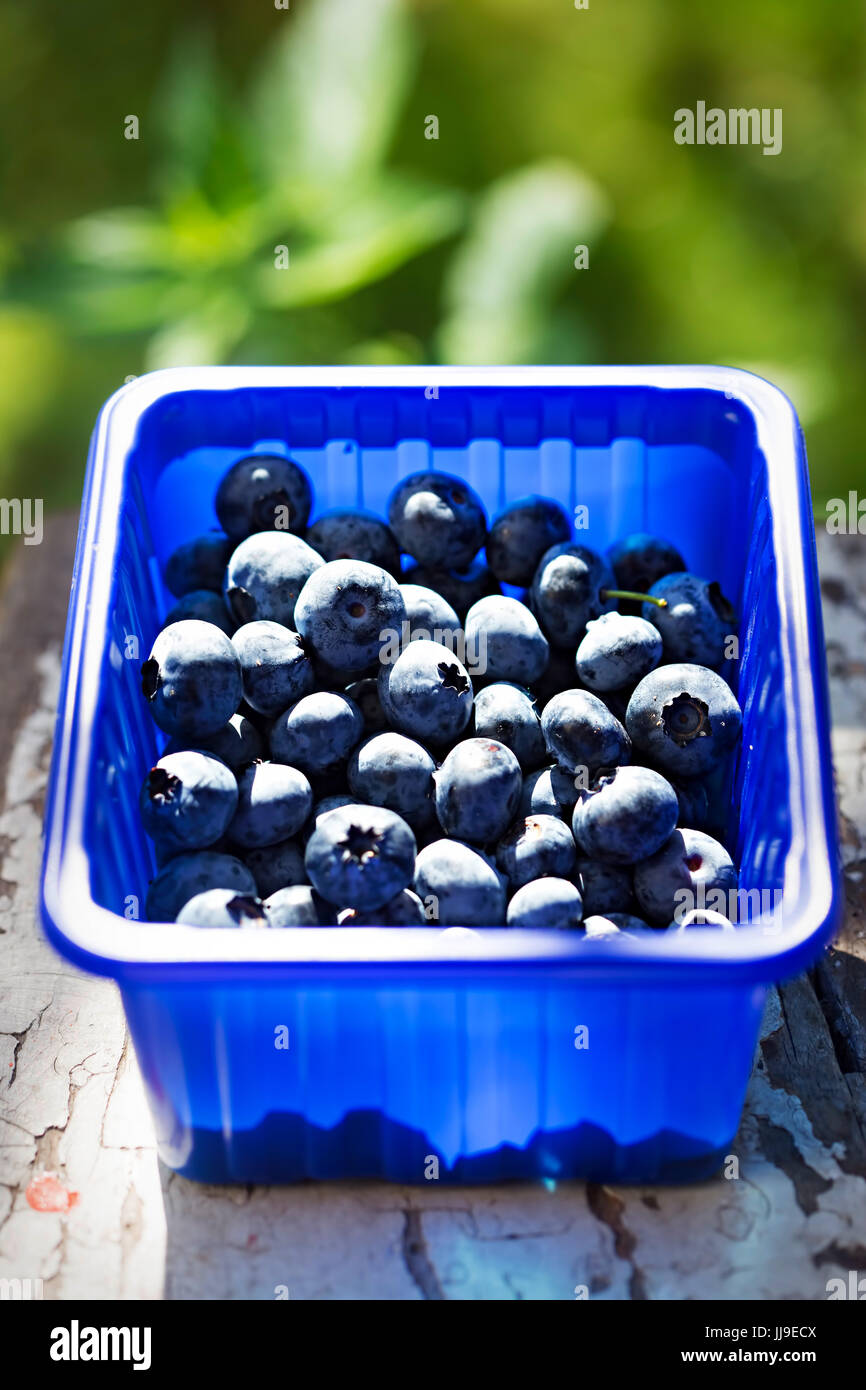 Blueberries in blue box Stock Photo Alamy