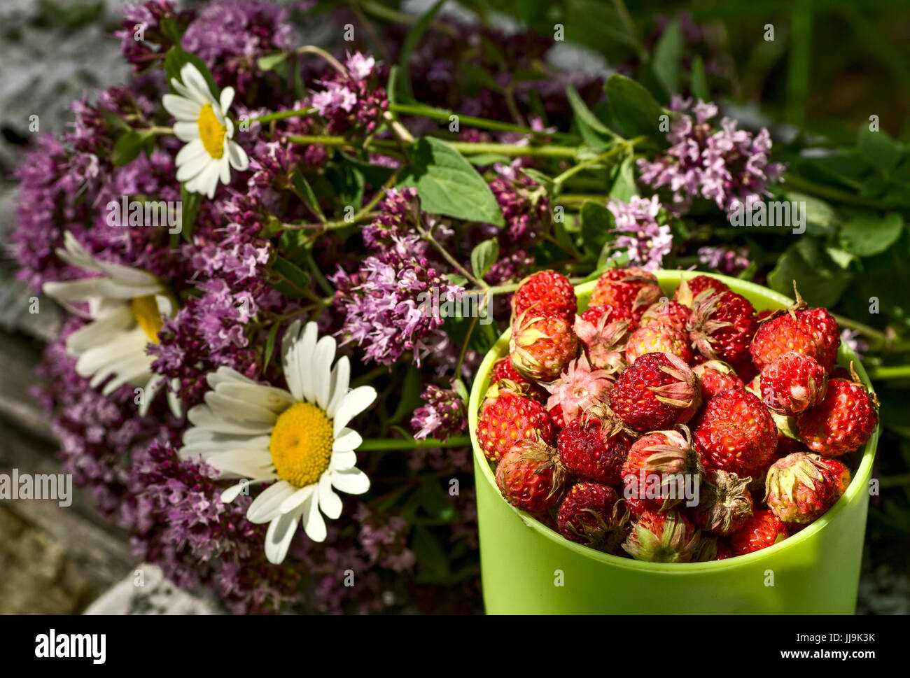 Cup full of wild strawberries and and herbal bouquet Stock Photo