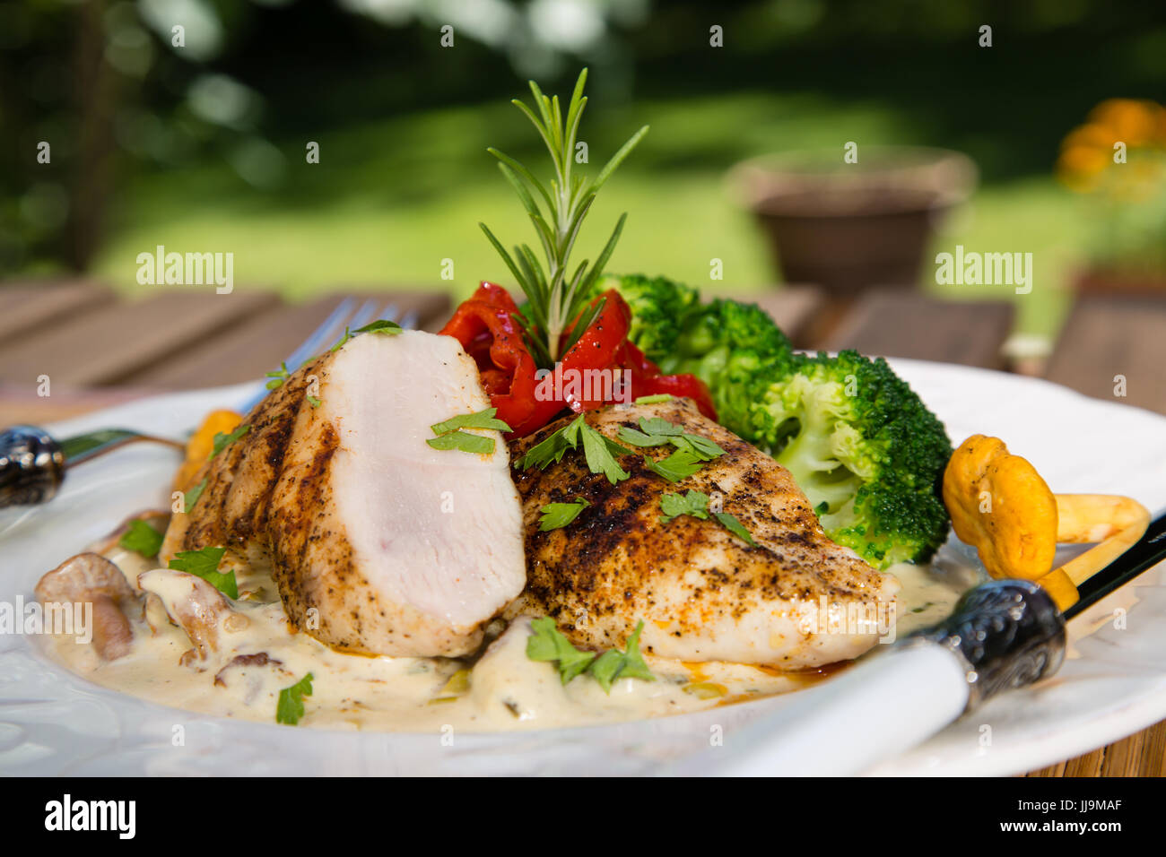 Grilled chicken, cream sauce with mushrooms chanterelles, broccoli and roasted red peppers. Healthy balanced food concept. Stock Photo