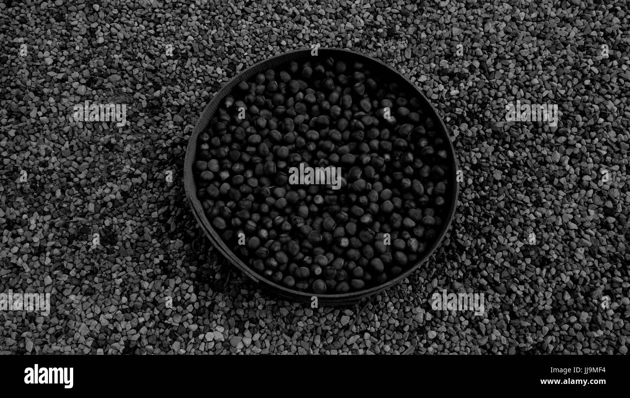 Kernel texture Black and White Stock Photos & Images - Alamy