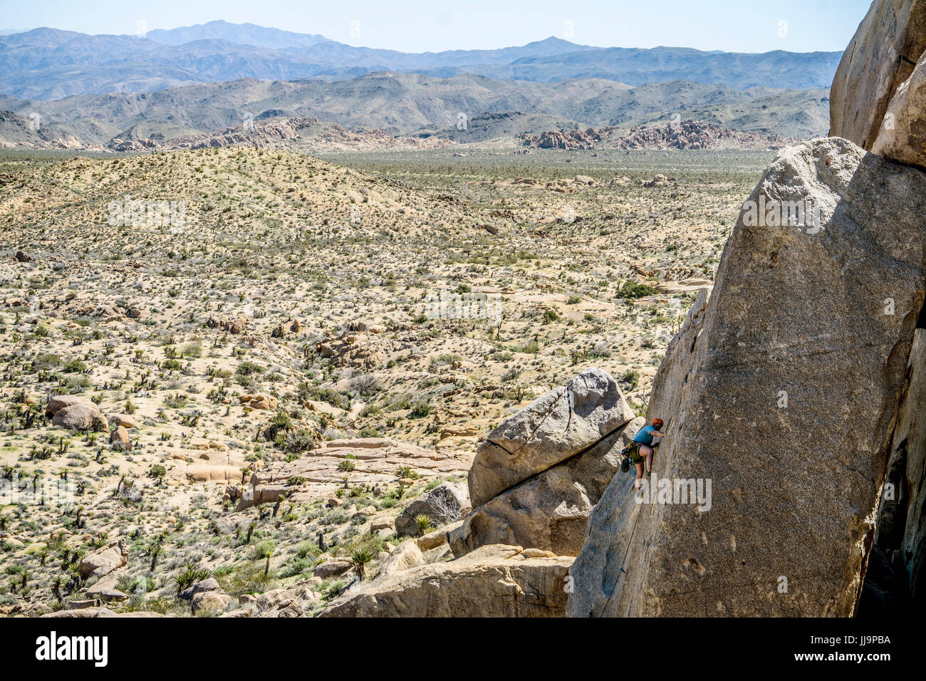 Man climbing tree hires stock photography and images Alamy