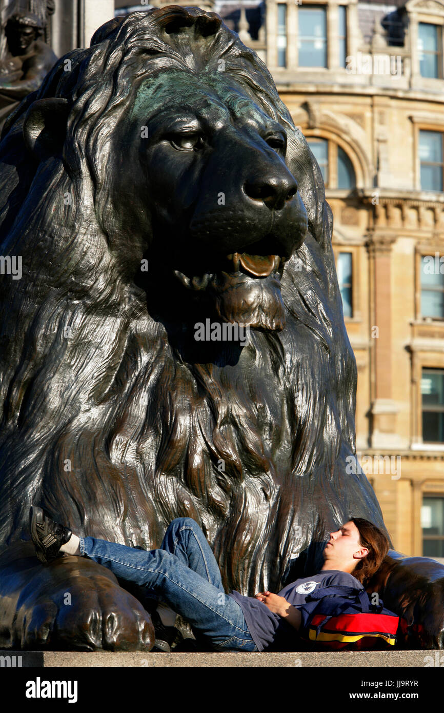 View of man lying on lion statue at Trafalgar Square, London, England, UK Stock Photo