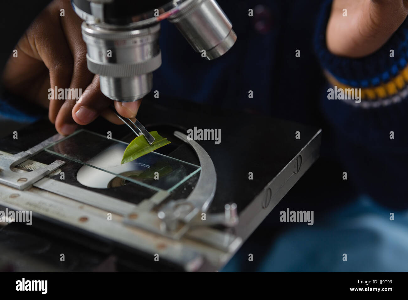Mid-section of schoolgirl experimenting with leaf Stock Photo