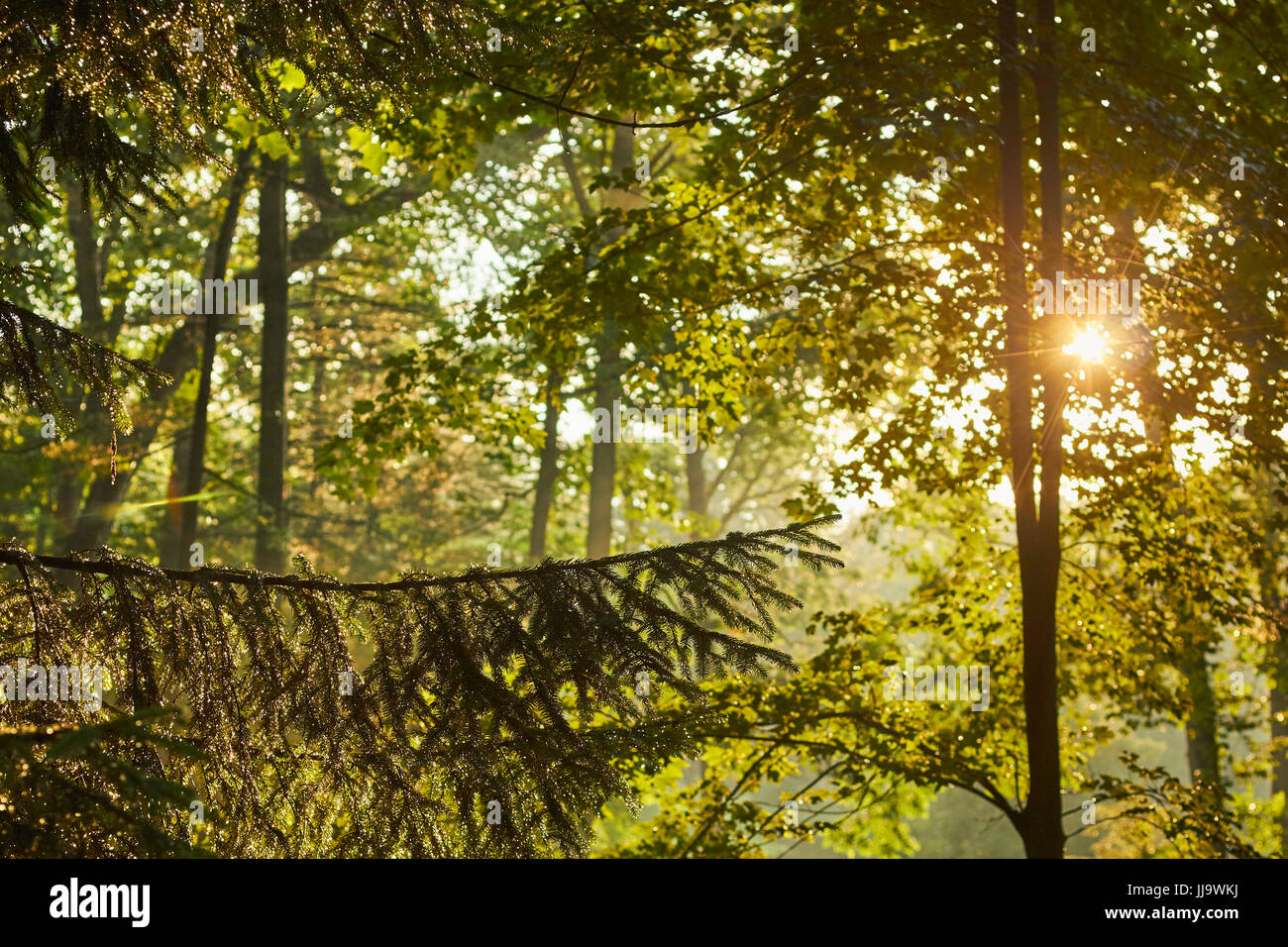 Mt lebanon pennsylvania hires stock photography and images Alamy