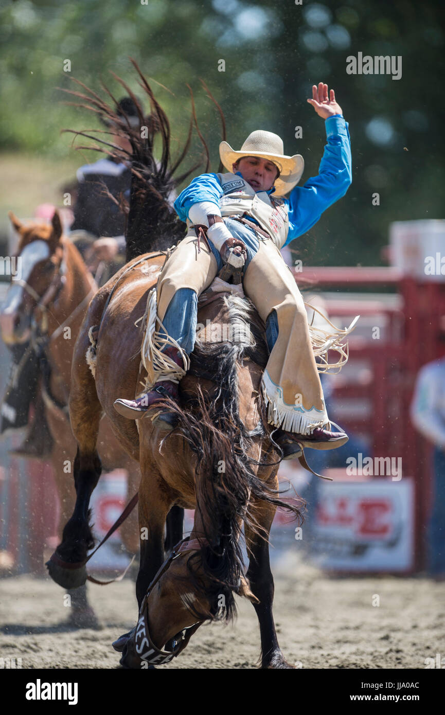 Bareback competition hi-res stock photography and images - Alamy