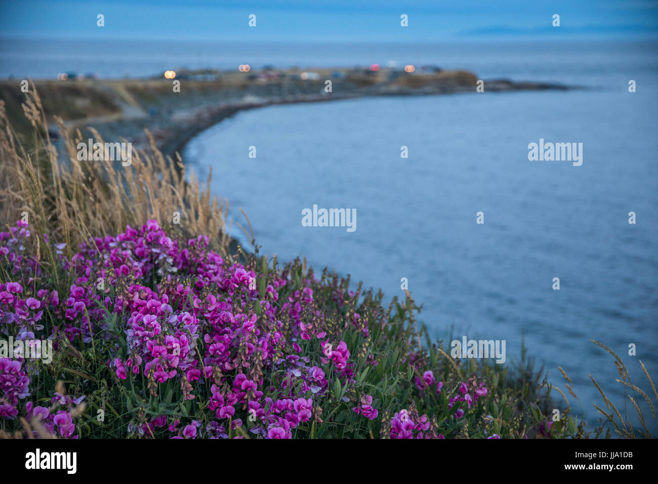 A view of coast along Clover Point park in Victoria, BC, Canada. Stock Photo
