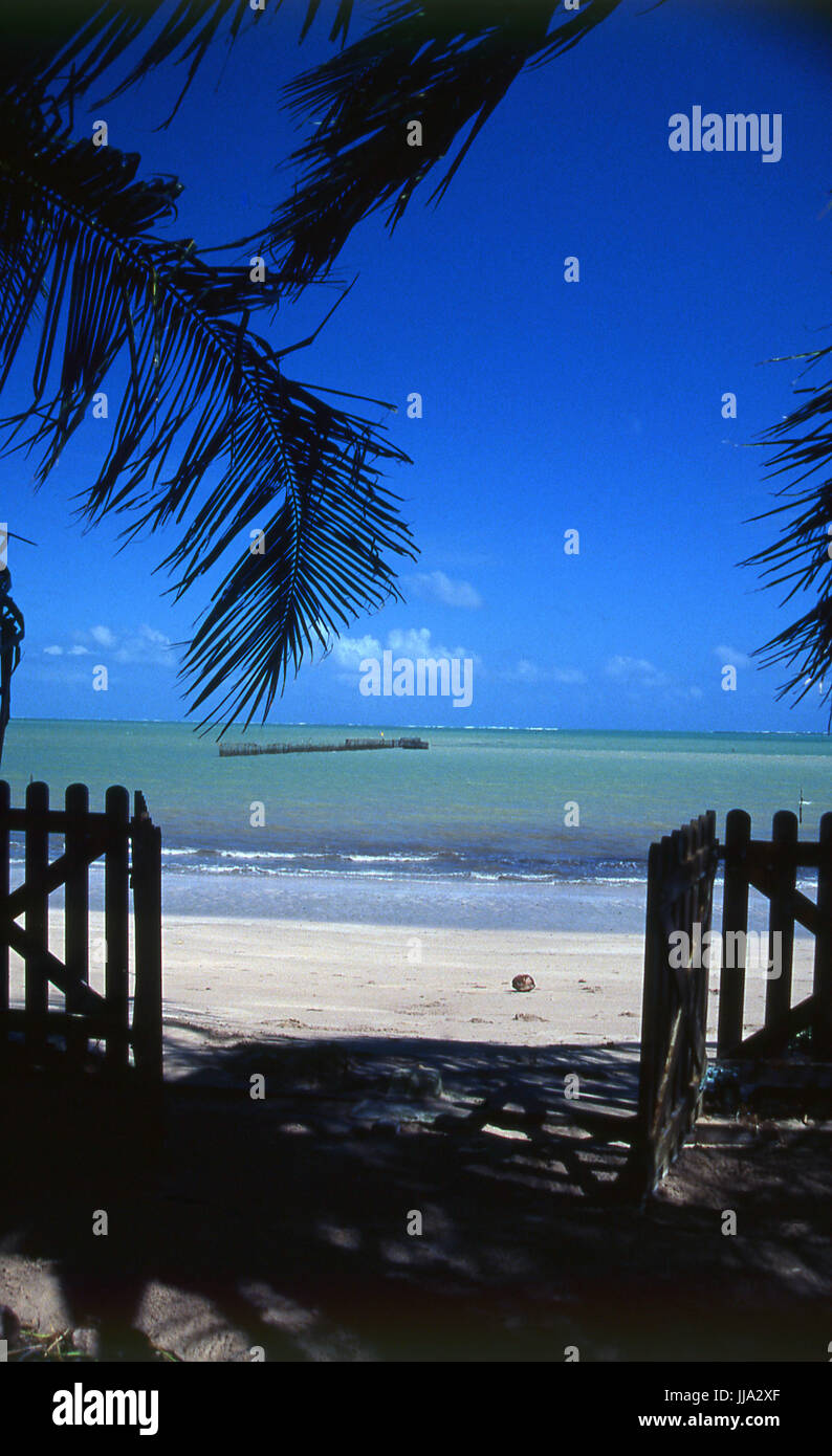 Beaches of Maragogi, Alagoas, Brazil Stock Photo