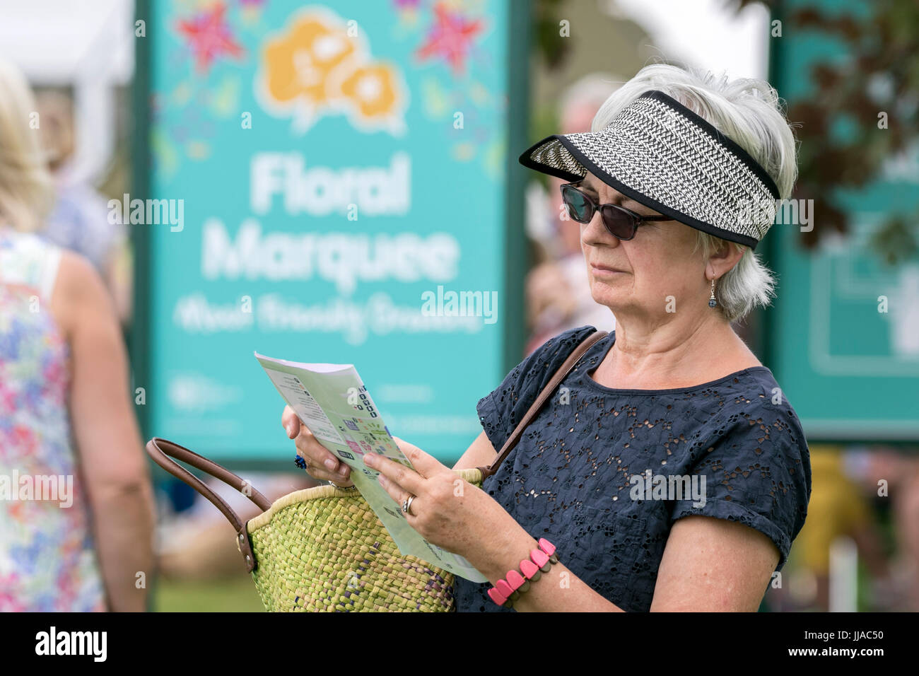 RHS Tatton Park Flower Show, Knutsford, Cheshire. 19th July 2017. The