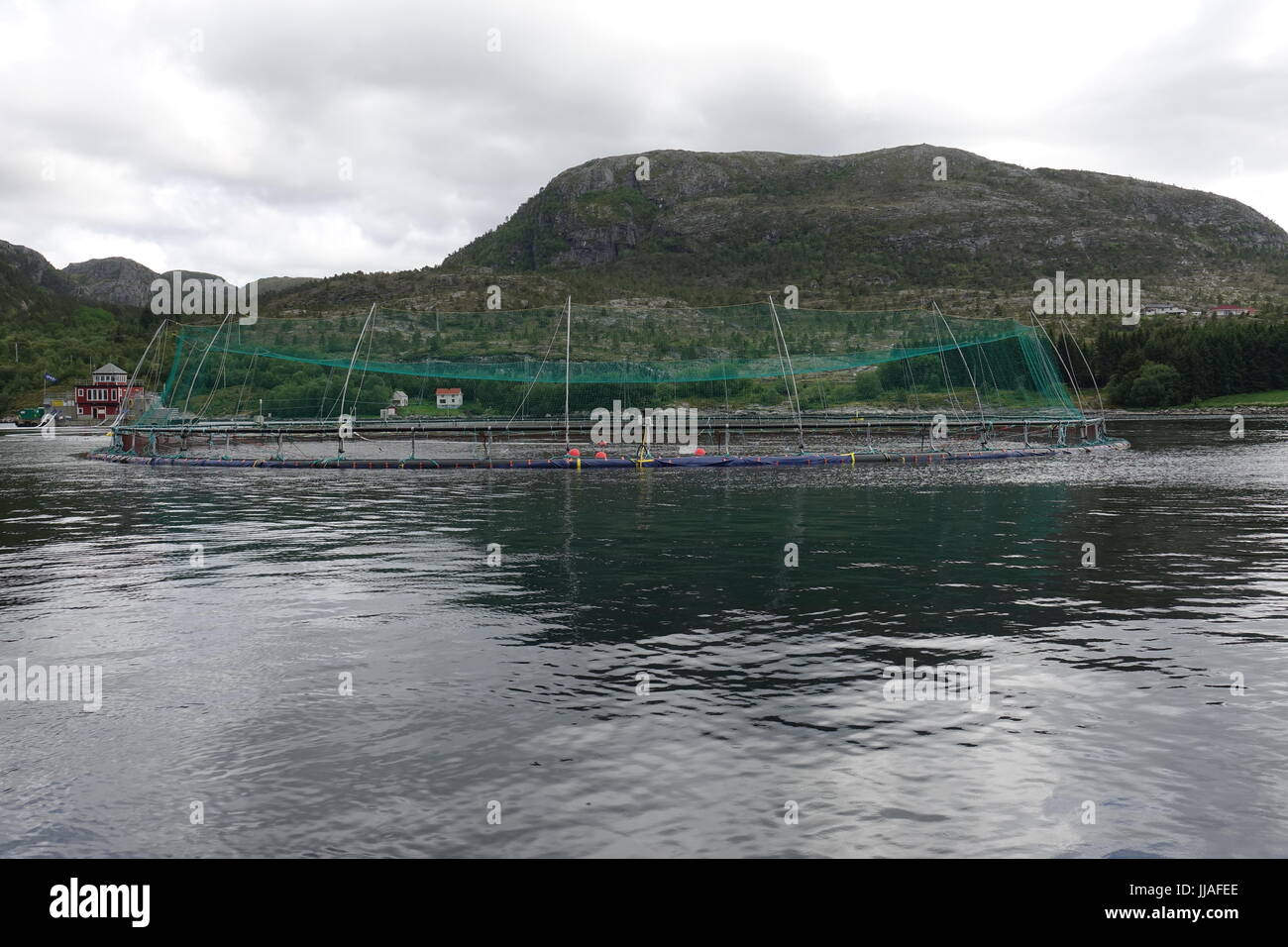 A salmon net on the salmon farm of Norwegian producer Leroy near the island of Hitra, Norway, 14 June 2017. Photo: Julia Wäschenbach/dpa Stock Photo