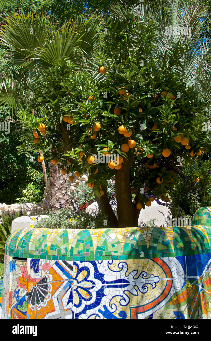 Mediterranean planting of Citrus and palm trees in The Viking Cruises Garden of Inspiration at RHS Chelsea Flower Show 2017 Stock Photo