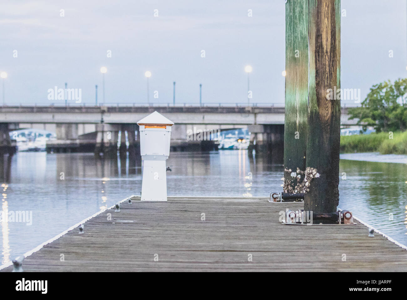 Charleston, the South Carolina port city founded in 1670, is defined by