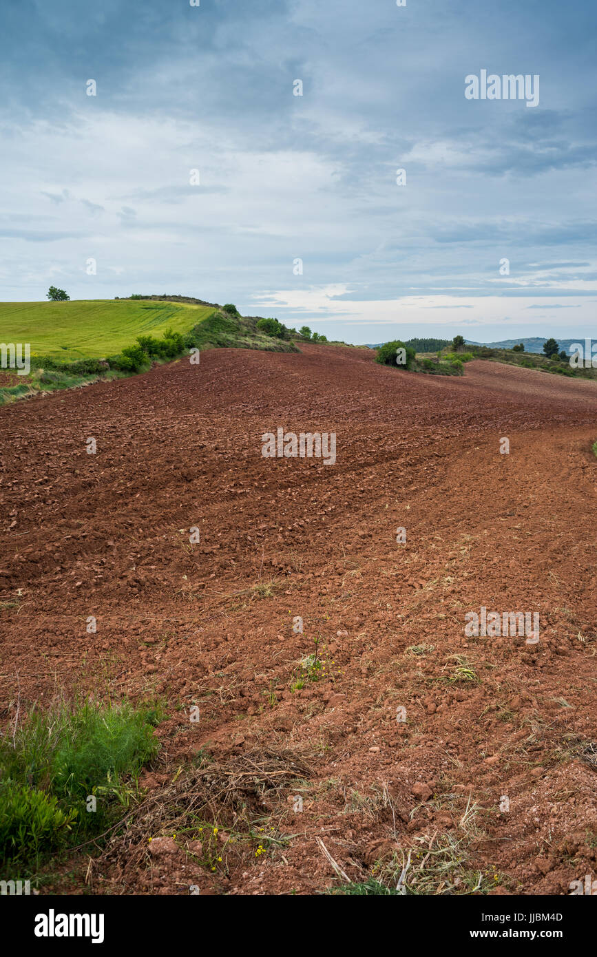 Landscape on the way from Pamplona to Logrono, Camino de Santiago, Spain, Europe Stock Photo