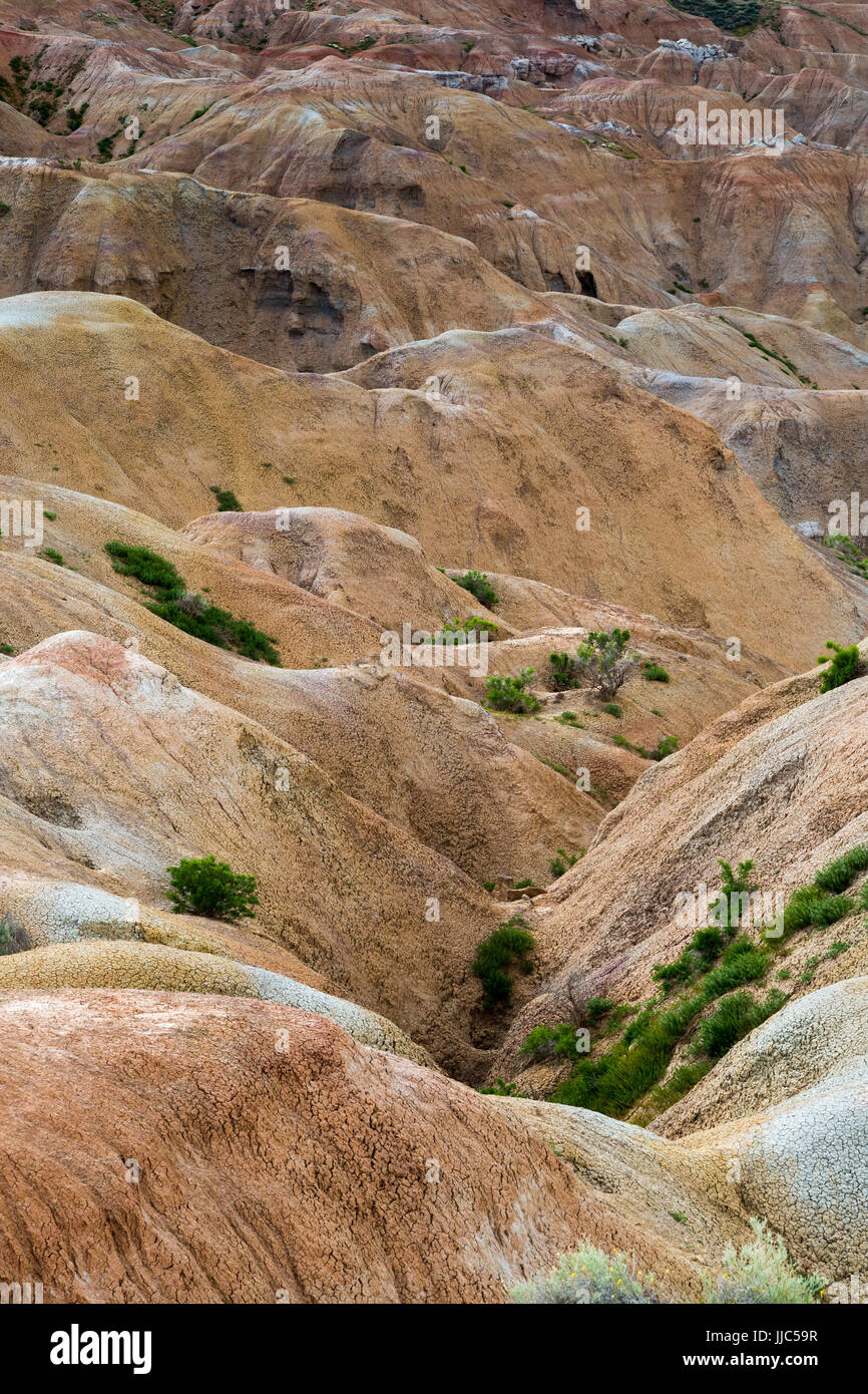 Hills in the high desert badlands of the Bighorn Basin creating abstract patterns. McCullough Peaks Herd Management Area, Wyoming Stock Photo