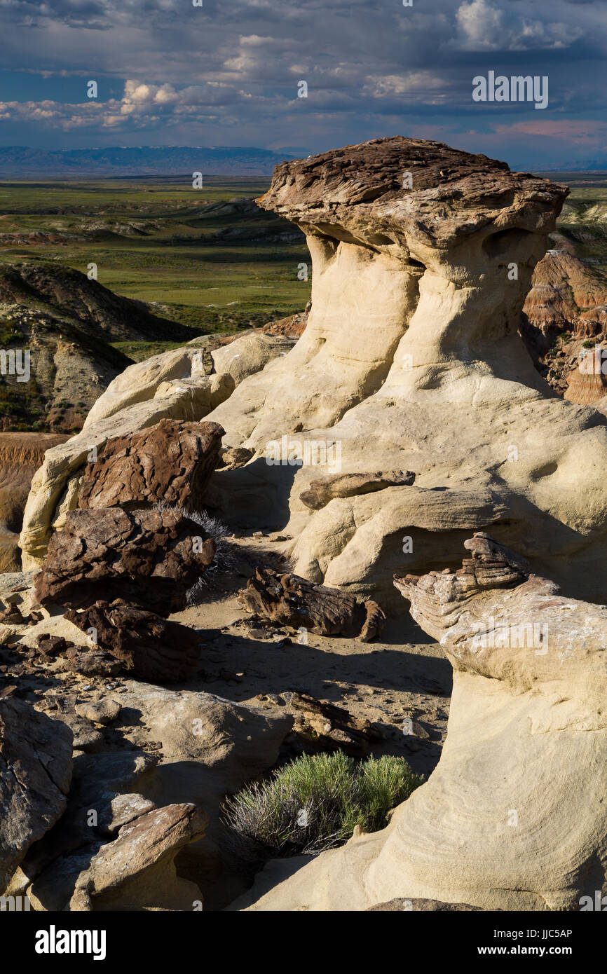 Eroded sandstone shapes in the badlands of the Bighorn Basin below