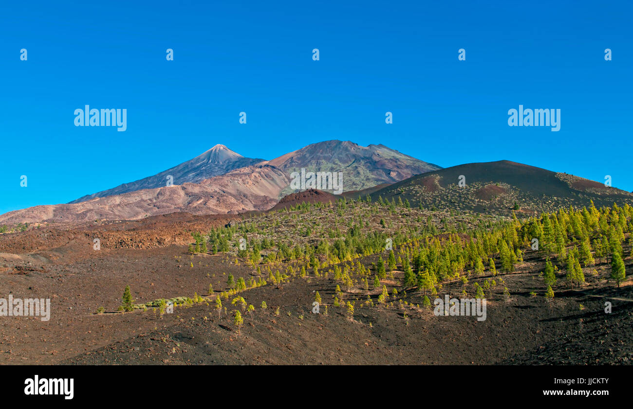 view of el teide national park, tenerife, canary islands Stock Photo
