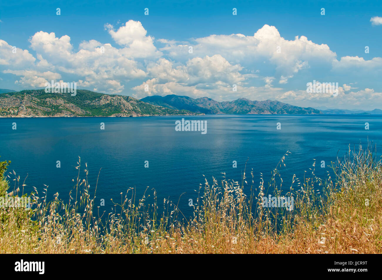 Aegean sea view with tall dry yellow grass at foreground and green mountains and blue cloudy sky at background in Amos Bay, Mugla, Turkey Stock Photo