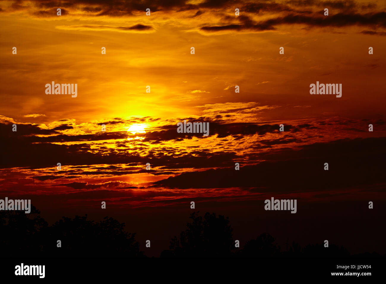 colorful dramatic sky with cloud at sunset. Golden sky background Stock ...
