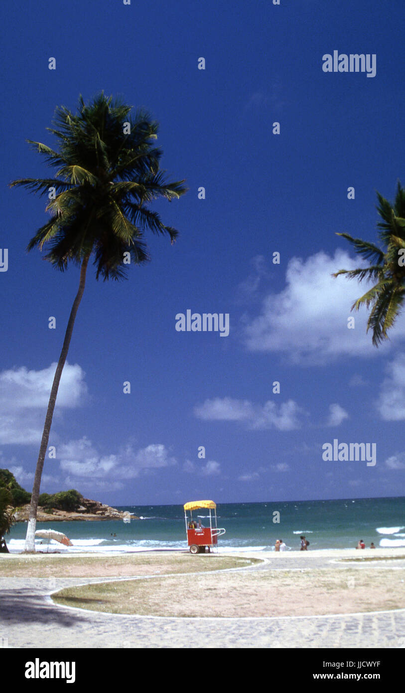 Gaibu Beach, Cabo de Santo Agostinho, Pernambuco, Brazil. Stock Photo