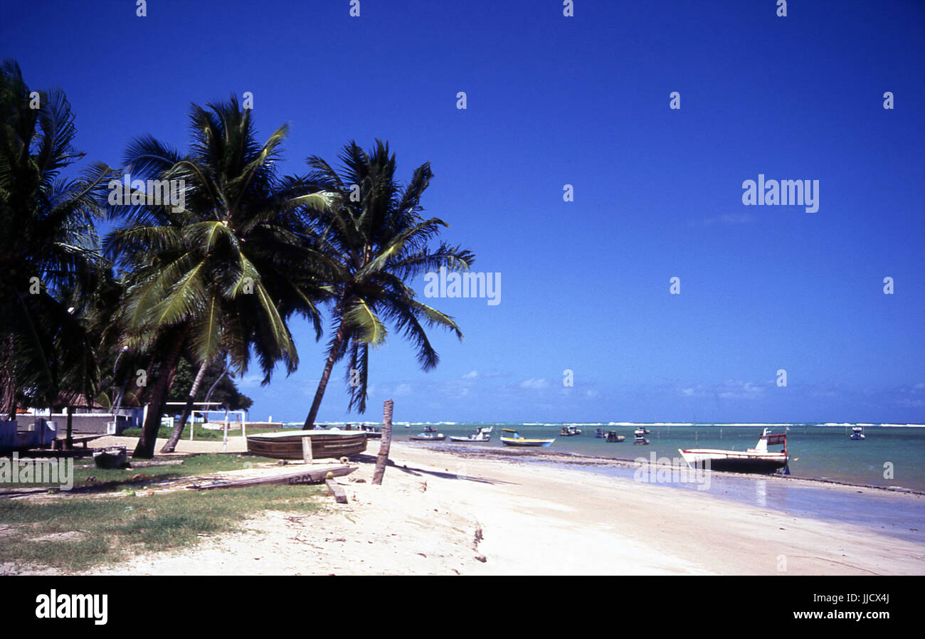 São José da Coroa Grande Beach, Pernambuco, Brazil Stock Photo