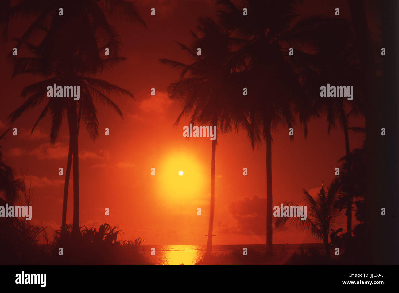 Beach, Porto de Galinhas, Pernambuco, Brazil Stock Photo