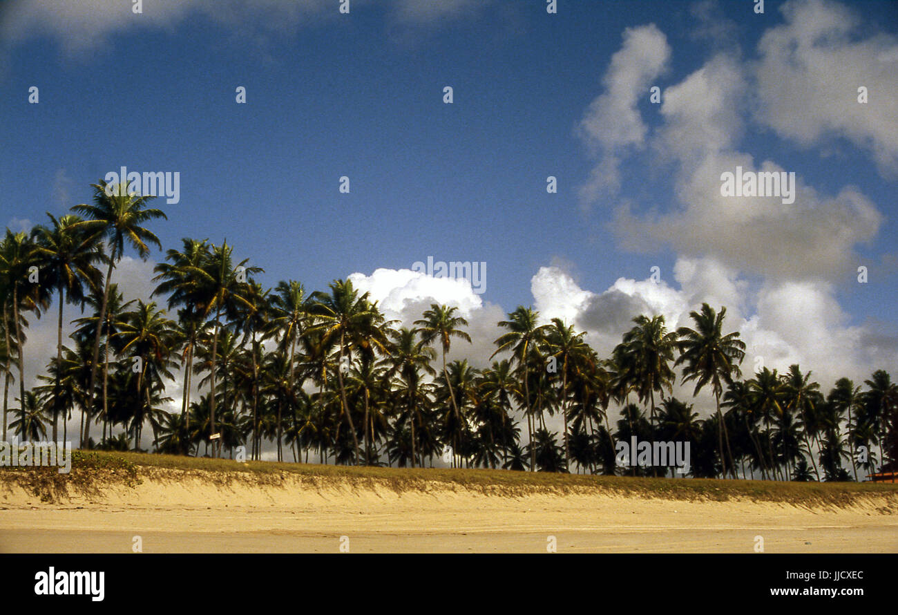 Beach, Porto de Galinhas, Pernambuco, Brazil Stock Photo