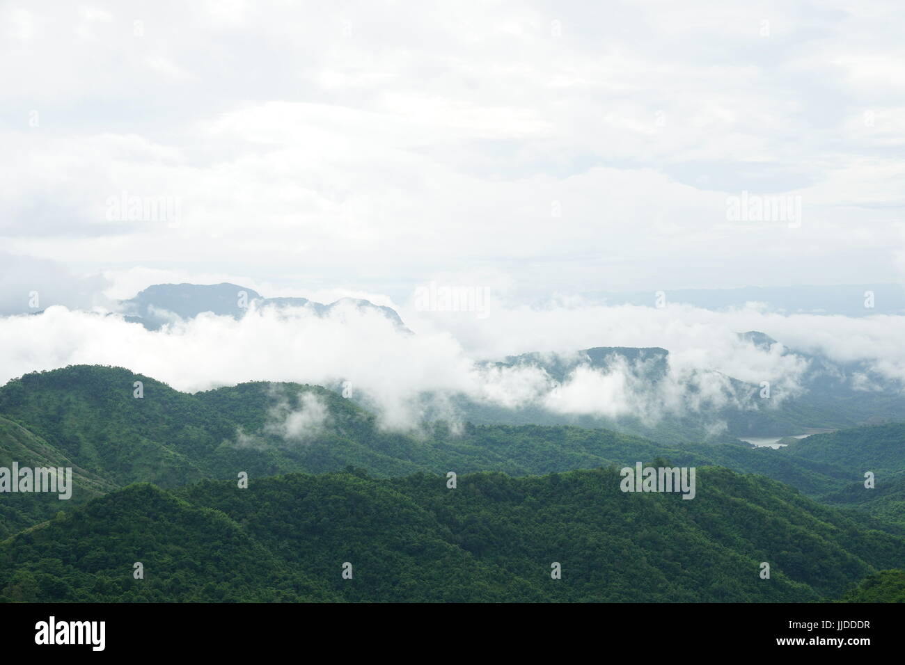 Morning mountain landscape with waves of fog and cloudy sky. Waves of ...