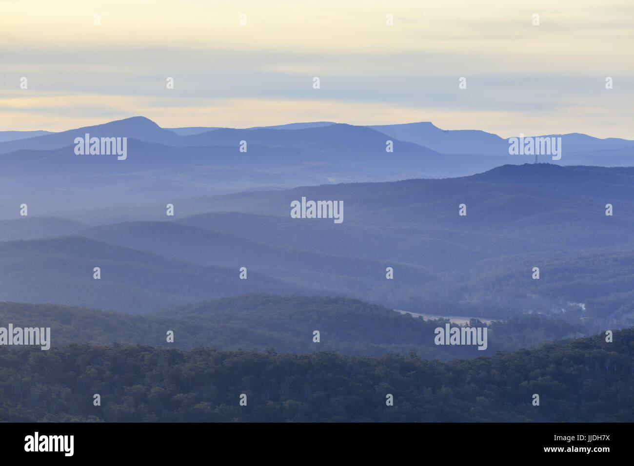 Beautiful forested hills fading into the background in muted colors with copy space Stock Photo