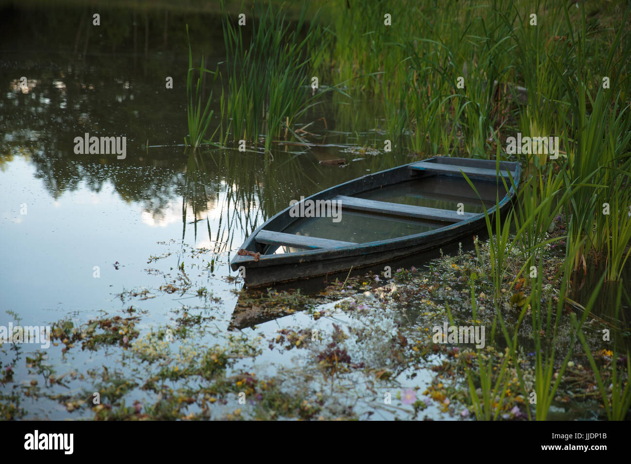 submerged Boat moored on the lake between the reeds Stock Photo