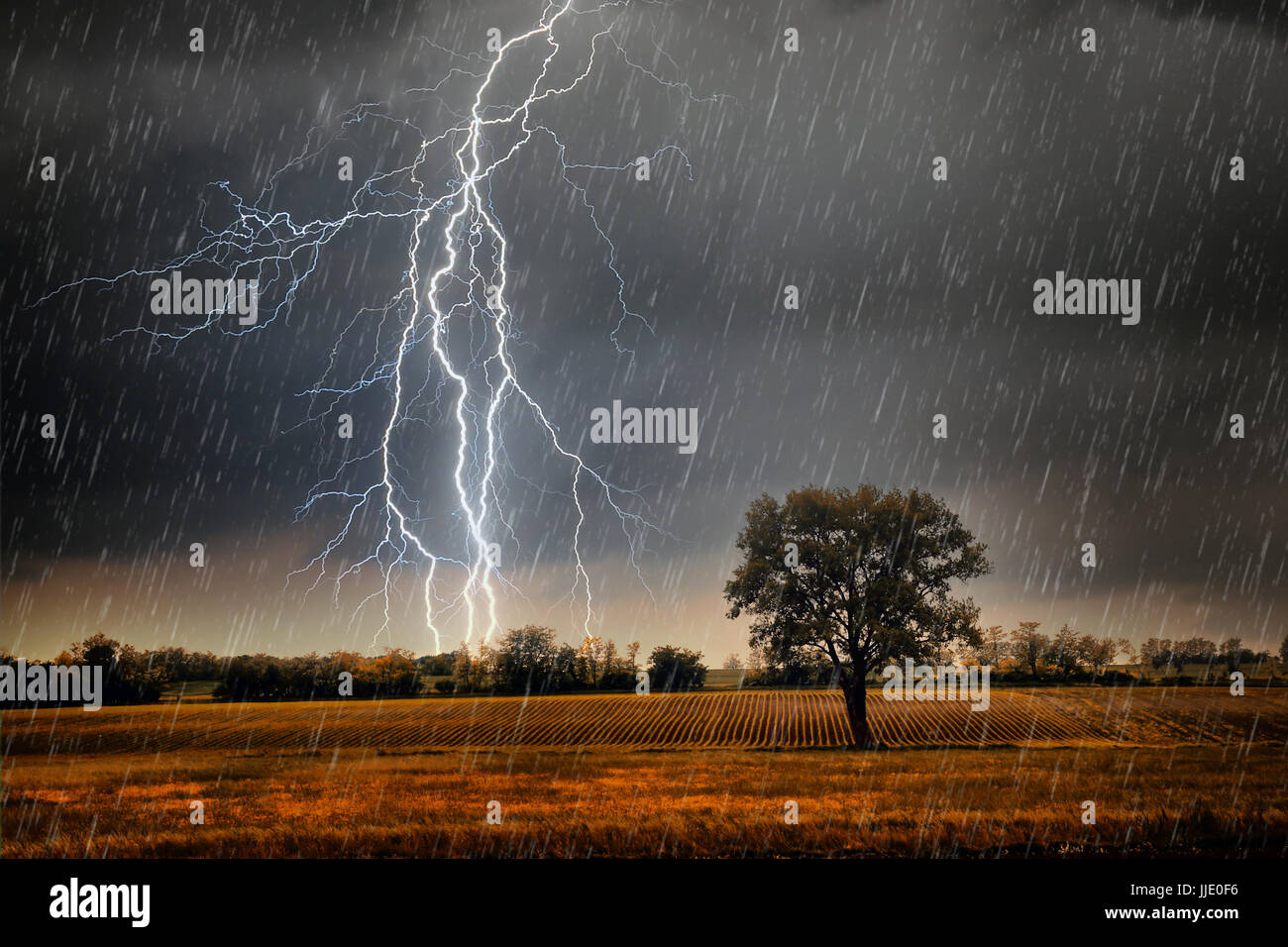 Lightning over field Stock Photo