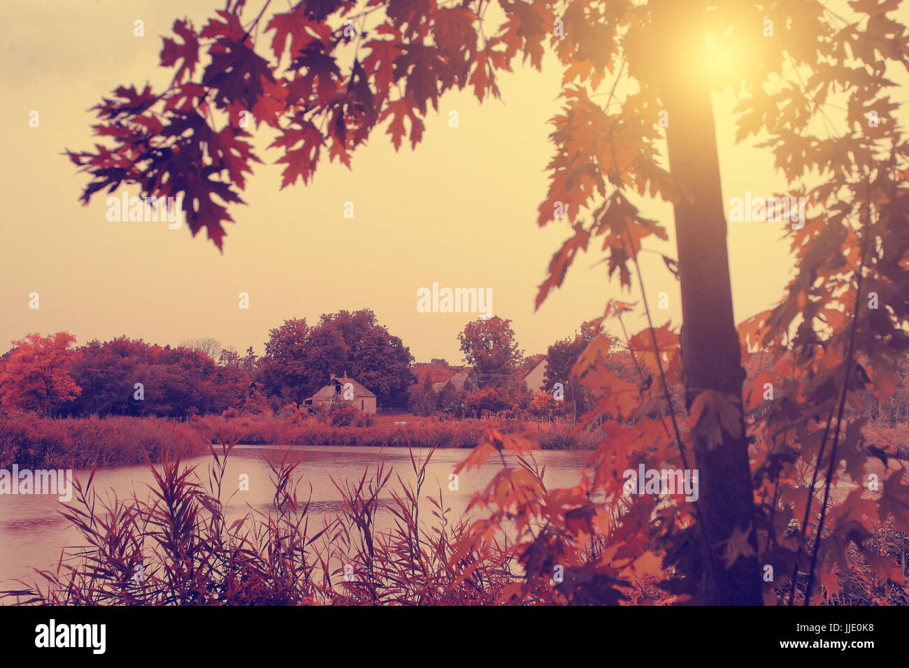 Vintage photo of autumn scene with lake Stock Photo