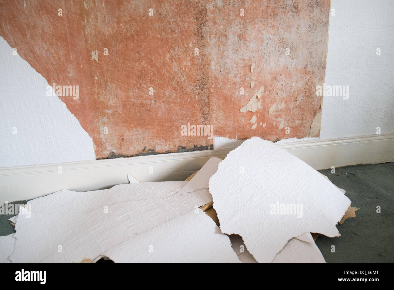 Diy Do It Stock Photo 149059368 Alamy