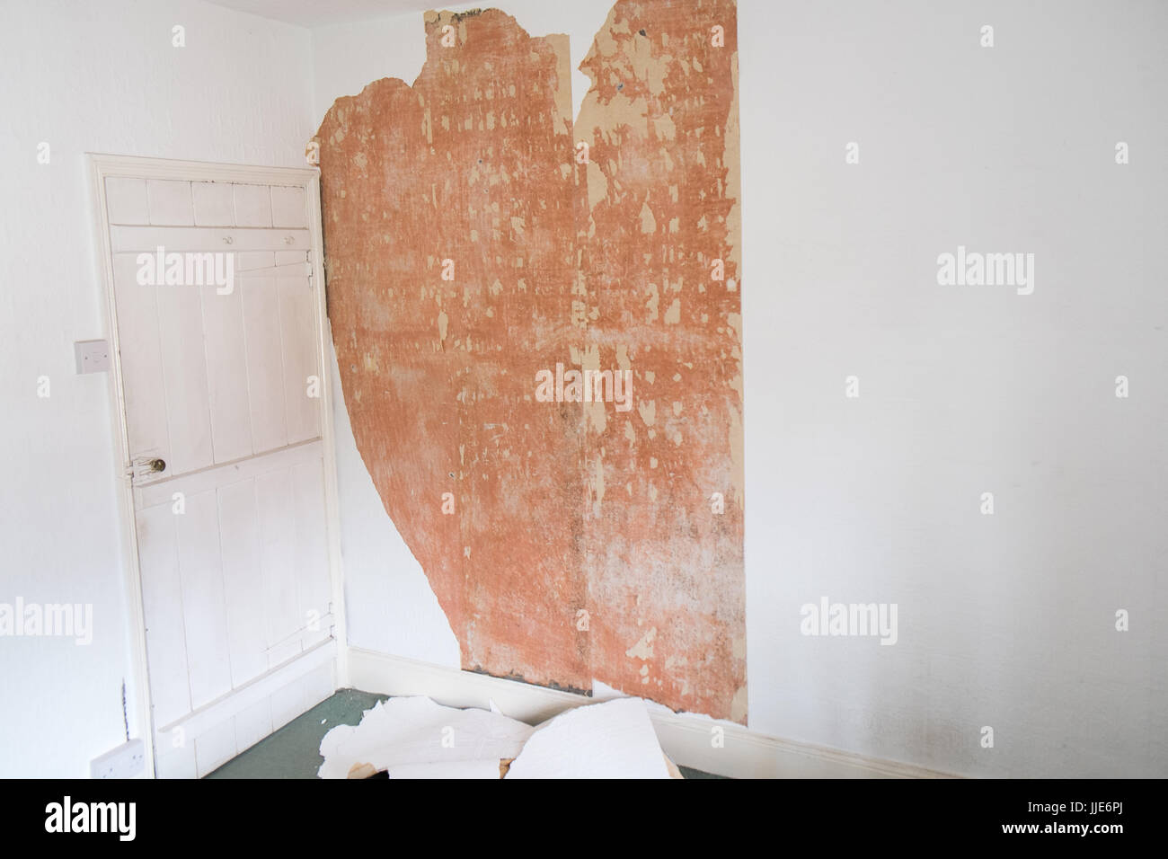 Diy Do It Stock Photo 149059418 Alamy