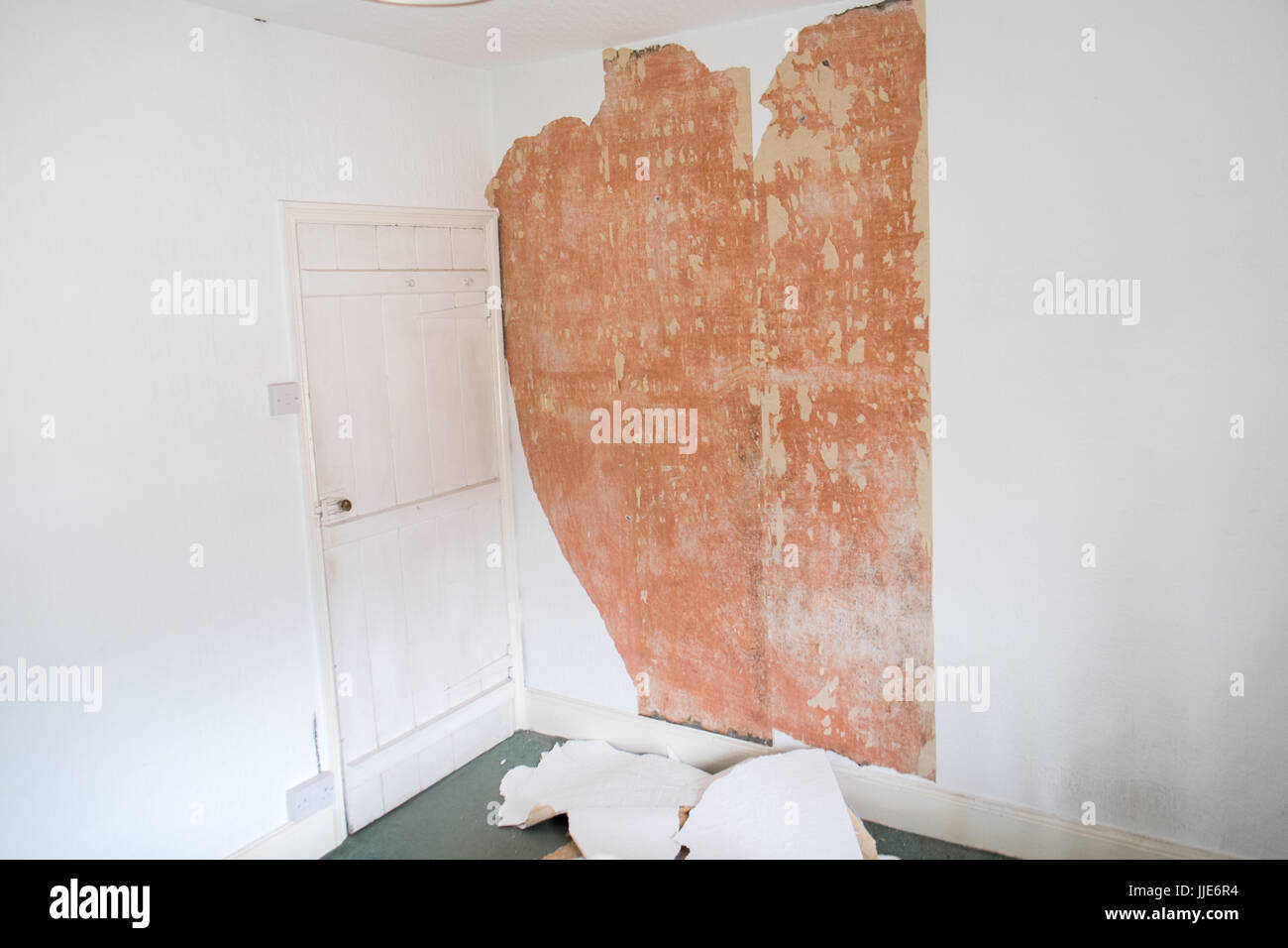 Diy Do It Stock Photo 149059432 Alamy