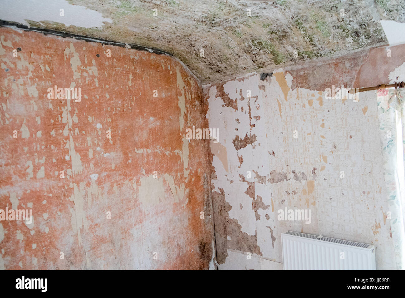 Diy Do It Stock Photo 149059450 Alamy