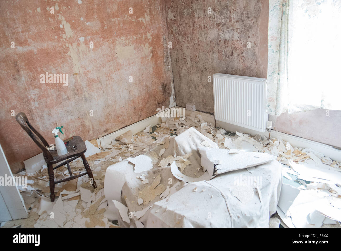 DIY,do it yourself,wallpaper,removal,mould,project,renovation