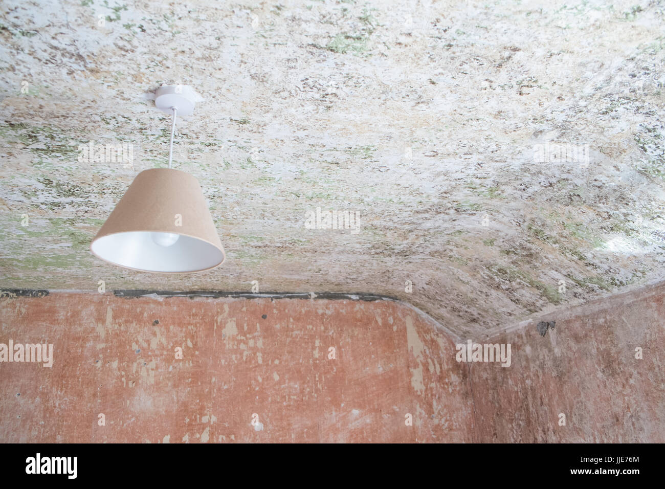 Diy Do It Stock Photo 149059756 Alamy