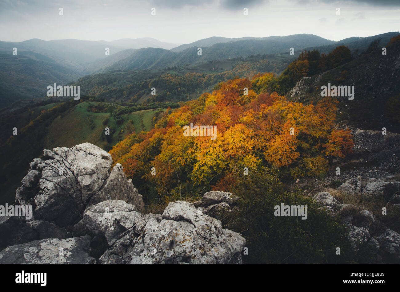 autumn landscape with hills, mountains and trees with colorful foliage Stock Photo