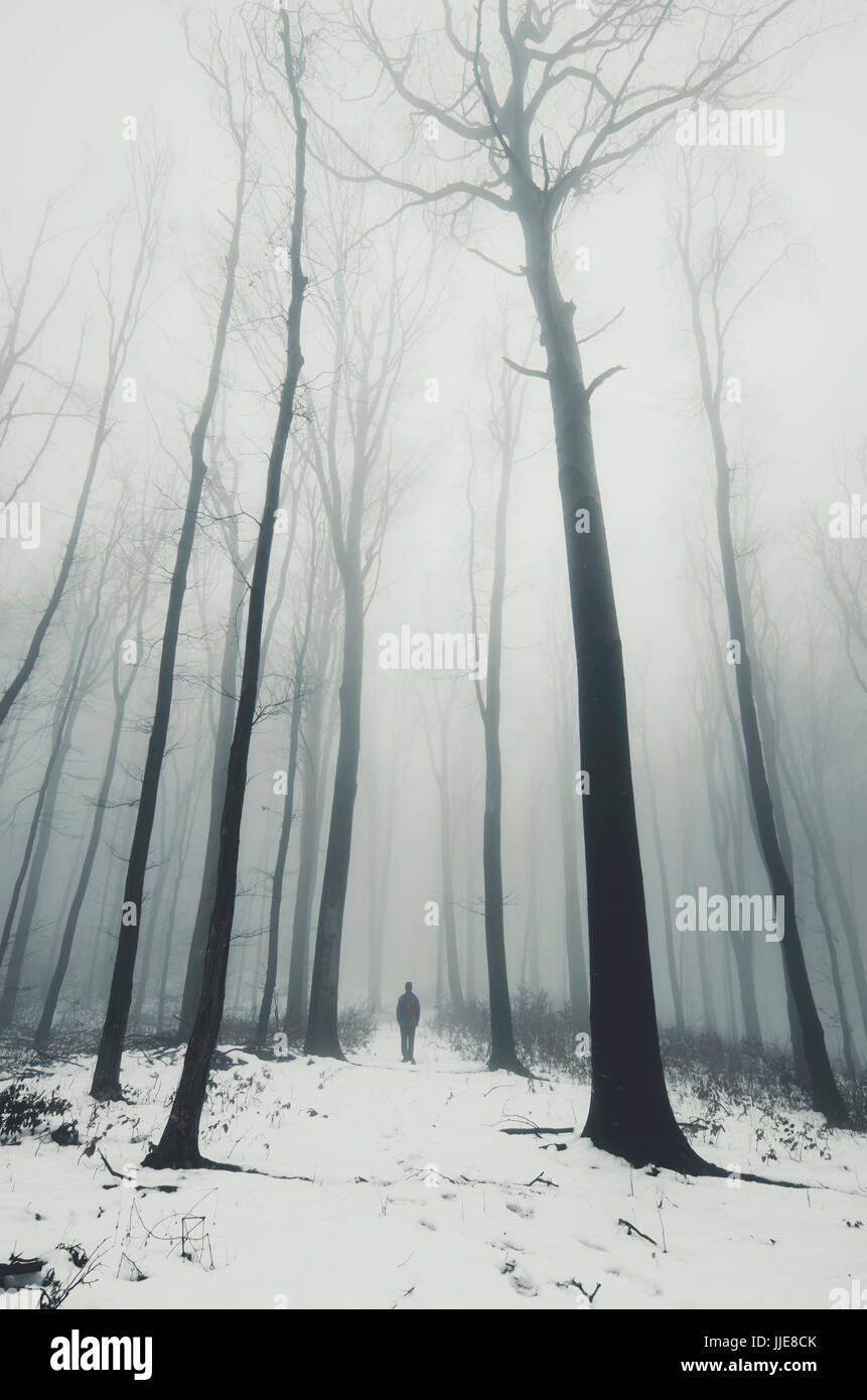 man walking on snowy forest path with old trees in fog Stock Photo
