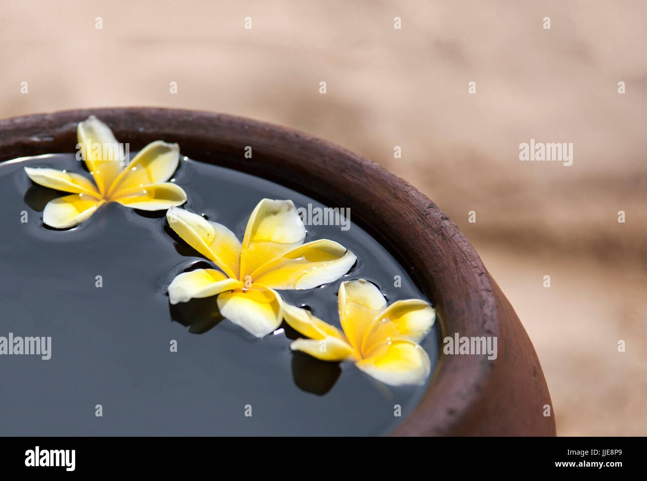 https://c8.alamy.com/comp/JJE8P9/touching-nature-clay-jug-relaxing-and-peaceful-with-flower-plumeria-JJE8P9.jpg