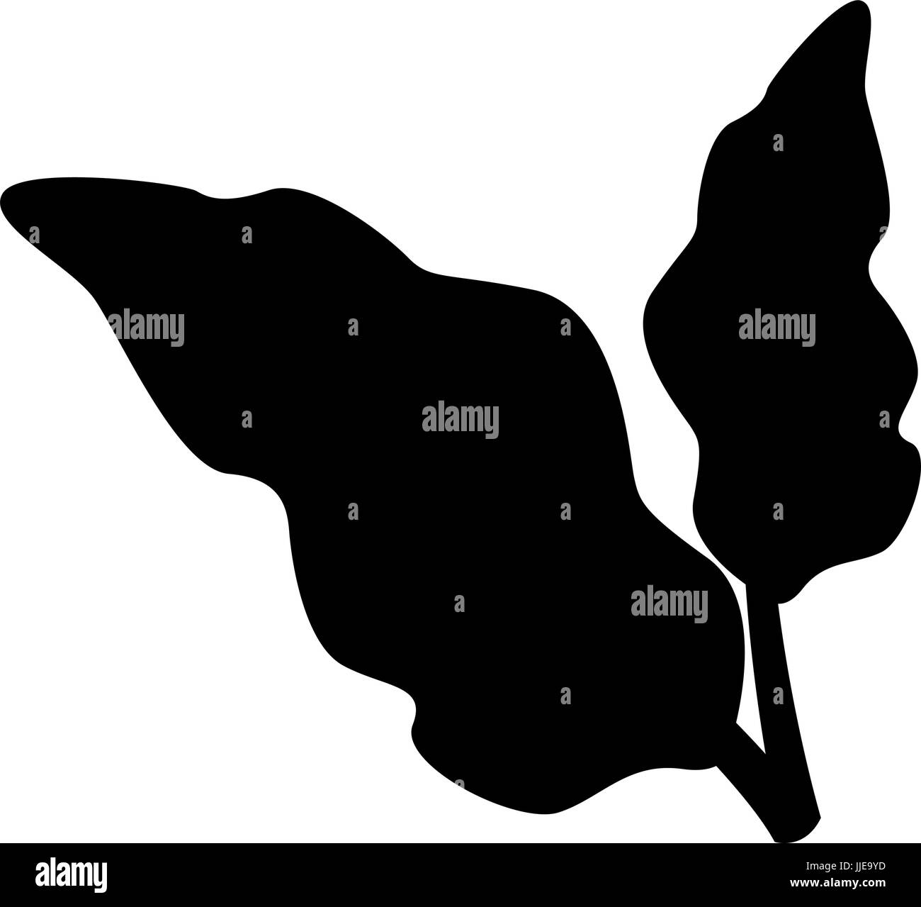 silhouette leaves plant natural icon Stock Vector Image & Art - Alamy