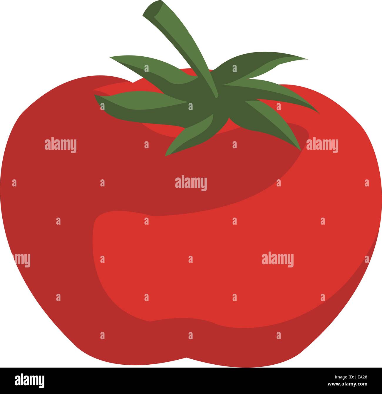 tomato vegetable from the farm organic food Stock Vector Image & Art ...