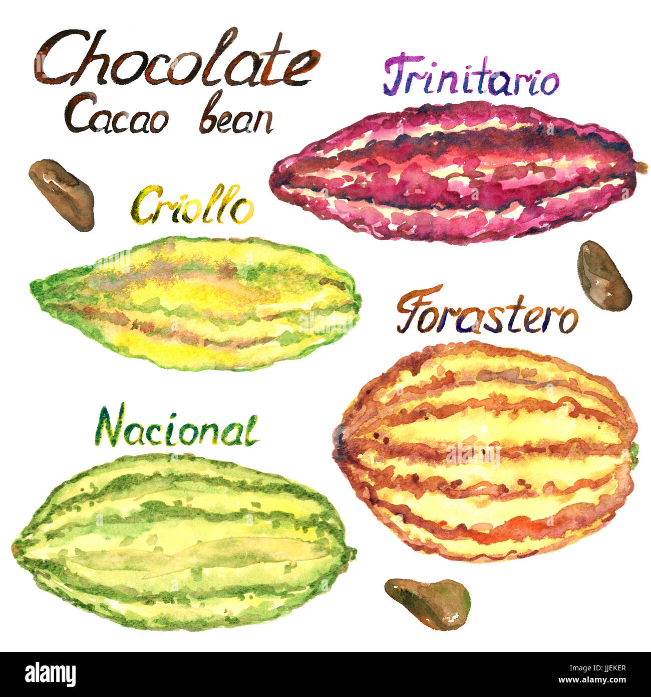 Are Criollo Varieties Real Population Genomic Analyses Of The Are Criollo Varieties Real Population Genomic Analyses Of The