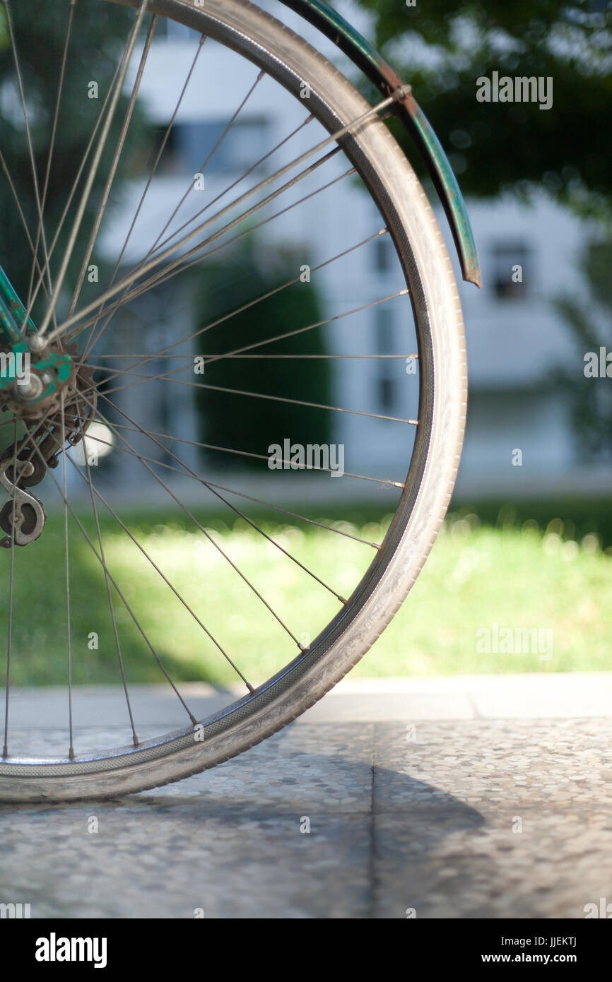 Bicycle half back wheel on old green bike with light green lawn Stock Photo