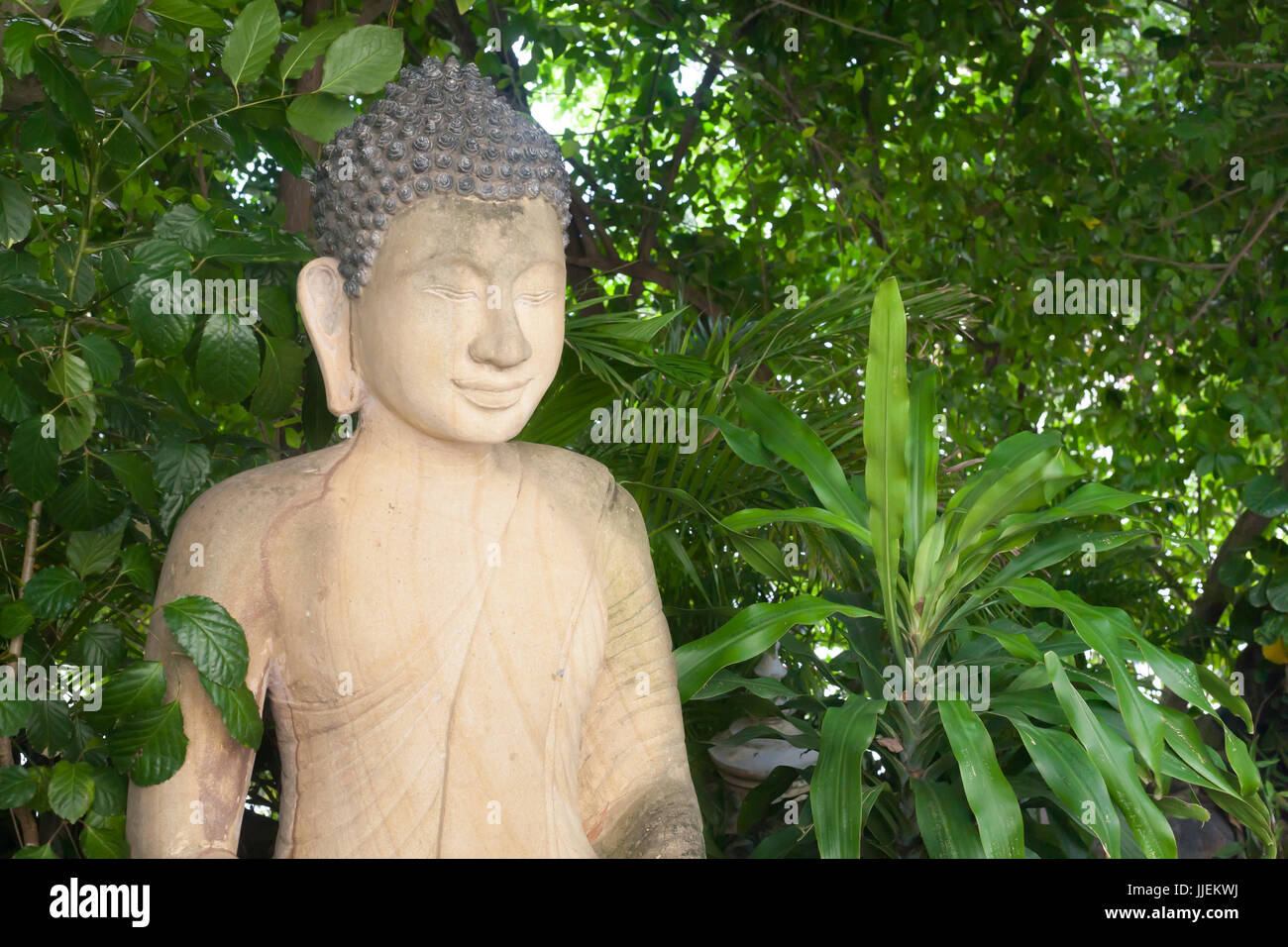 Side of Buddha Statue Portrait close up in Cambodian Temple Green Plants with big leaves Stock Photo