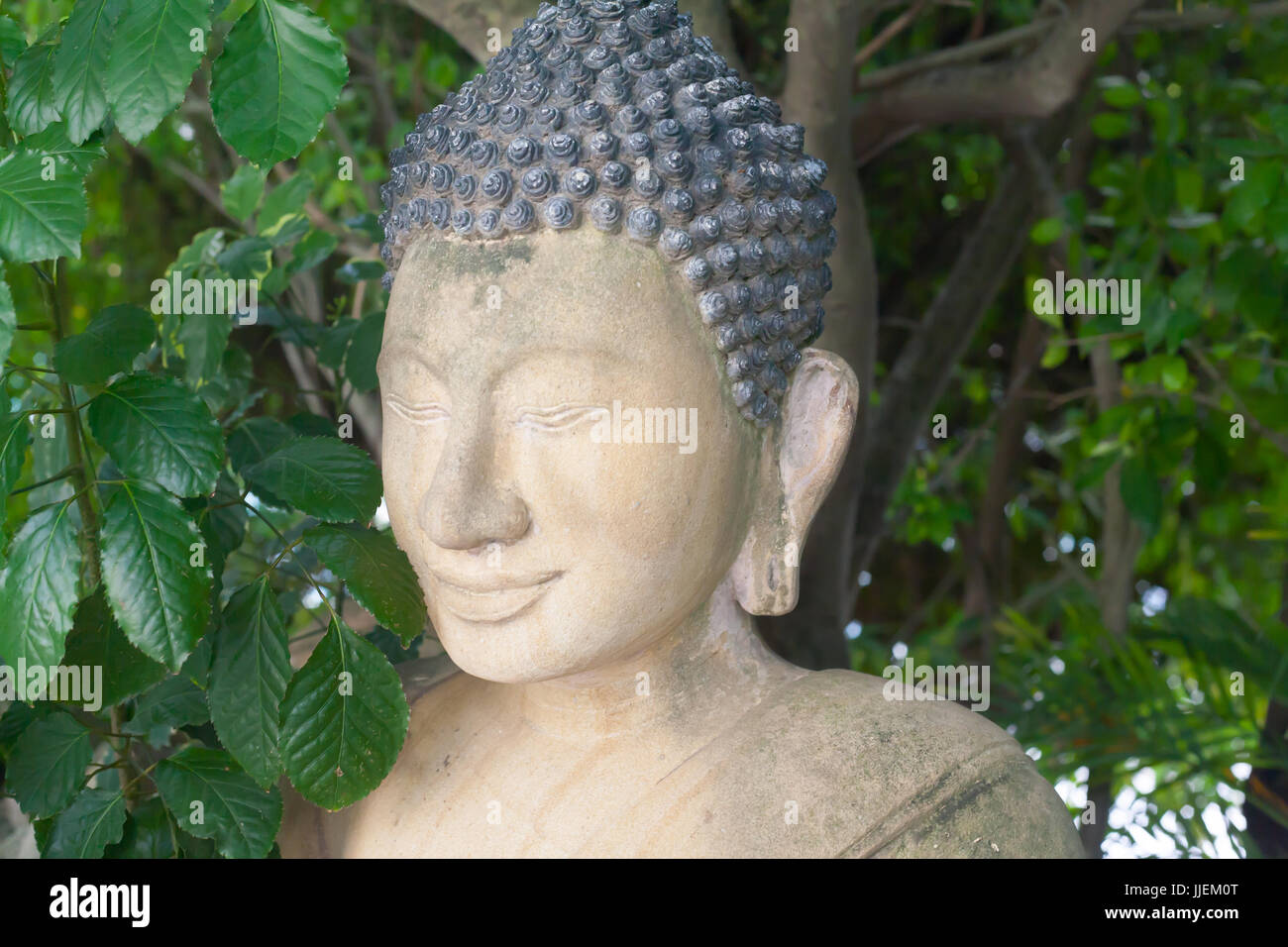 Ancient Buddha Statue Portrait close up in Cambodian Temple Green Plants with big leaves Stock Photo